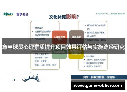 意甲球员心理素质提升项目效果评估与实施路径研究