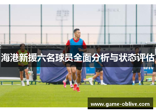 海港新援六名球员全面分析与状态评估