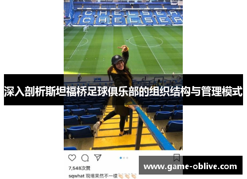 深入剖析斯坦福桥足球俱乐部的组织结构与管理模式