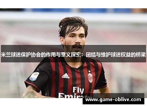 米兰球迷保护协会的作用与意义探索：团结与维护球迷权益的桥梁