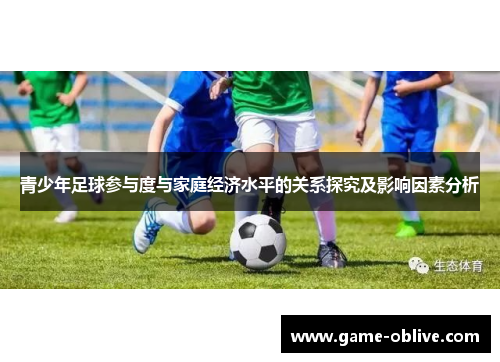 青少年足球参与度与家庭经济水平的关系探究及影响因素分析